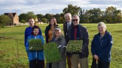 Plans to create a wildflower meadow take shape