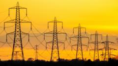 Wales plans to ban steel pylons as government launches consultation