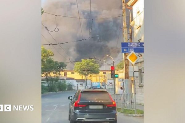 Major Russian grain export terminals hit in Ukraine Black Sea port attack