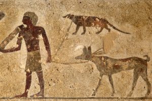 Egyptian Mangoose, a Mysterious Visitor in Fayoum Turns Out to Be an Ancient Ally